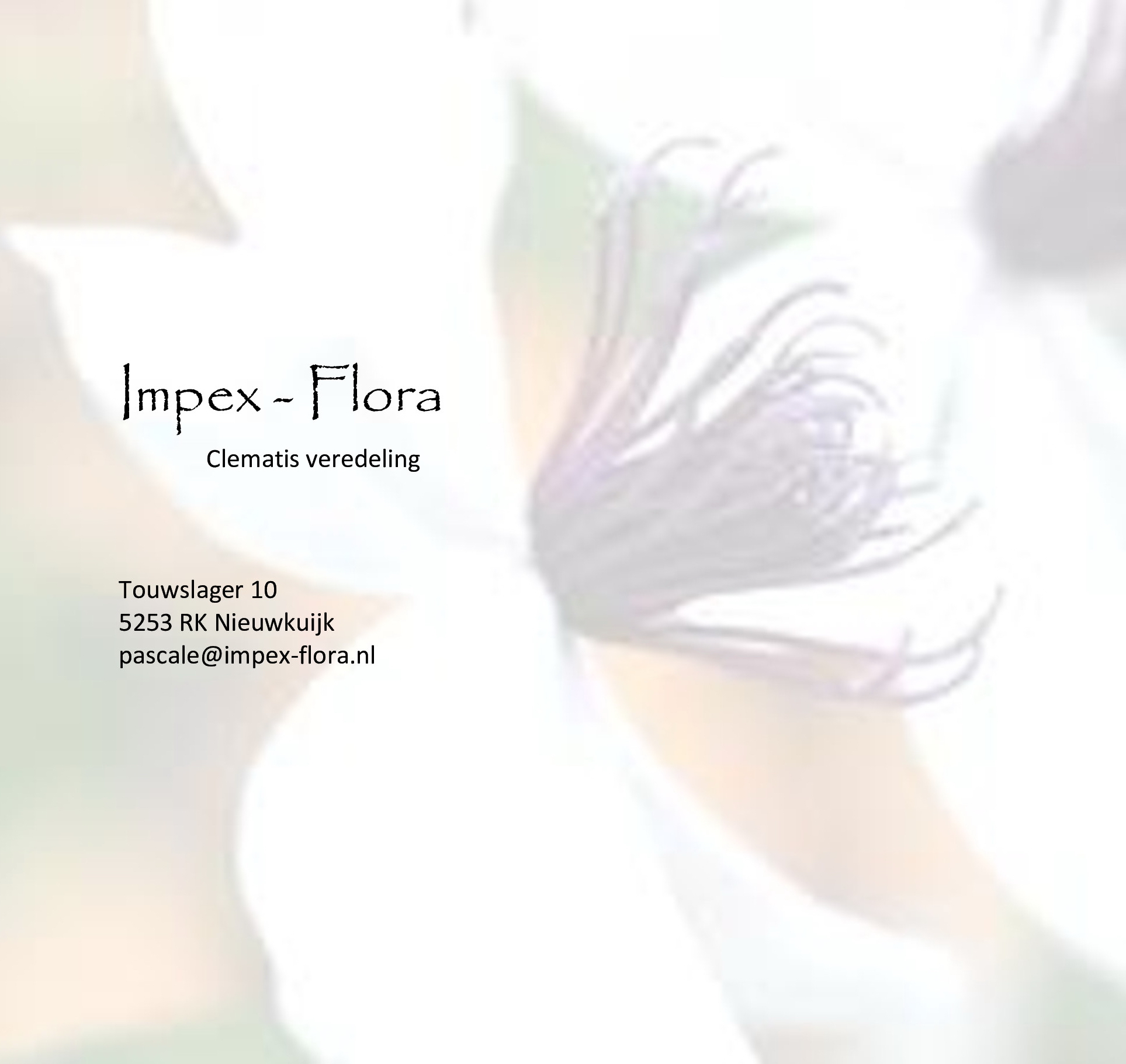 IMPEX-FLORA B.V.